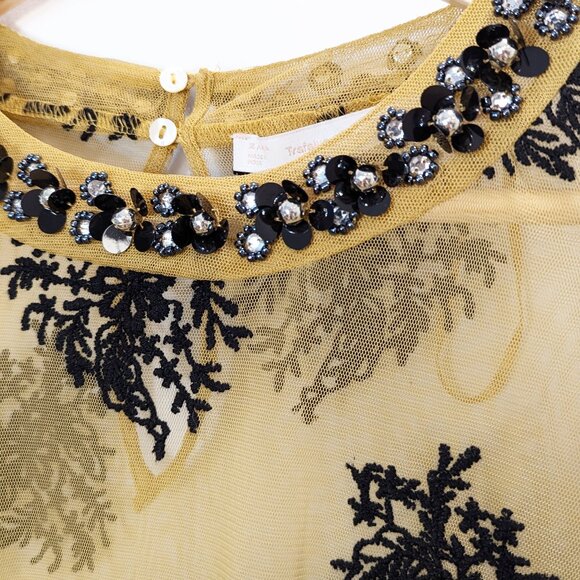 ZARA Embroidery Tulle Dress - Picture 4 of 11